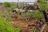 Madikwe River Lodge