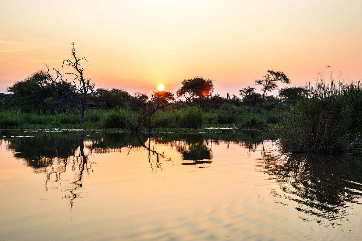 Marataba Safari Lodge