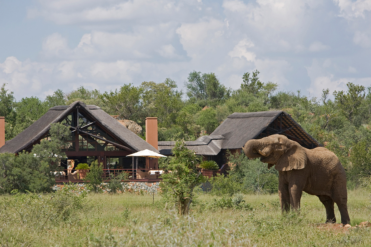 Mateya Safari Lodge
