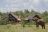 Mateya Safari Lodge
