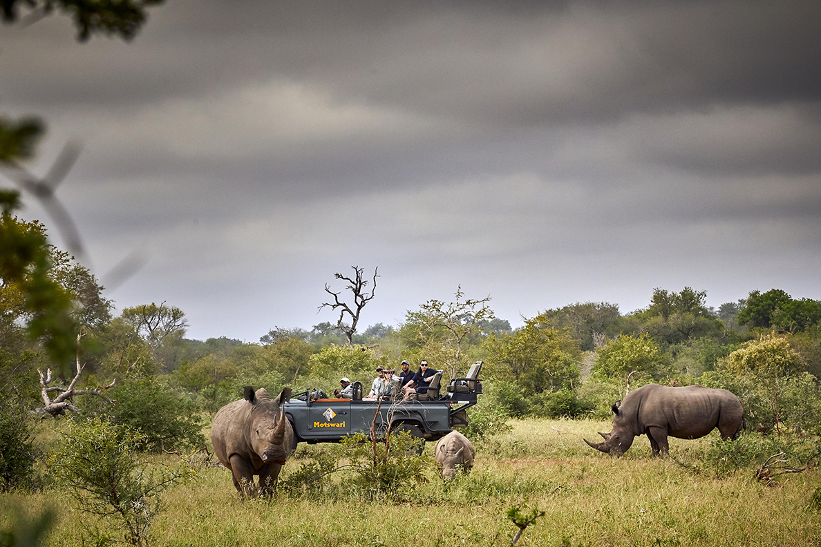 Motswari Lodge