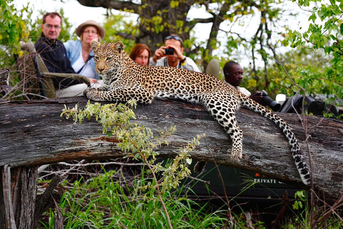 Motswari Lodge