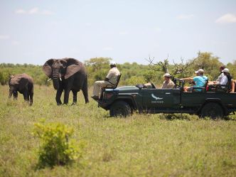 Ngala Safari Lodge - Game Drive Ngala Safari Lodge - Game Drive