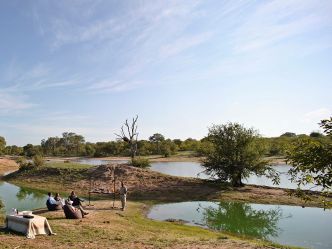 Ngala Safari Lodge Ngala Safari Lodge