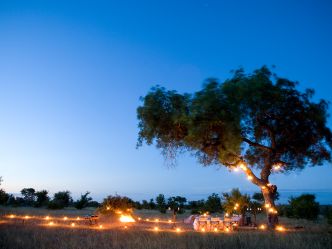 Ngala Safari Lodge - Bush Dinner Ngala Safari Lodge - Bush Dinner