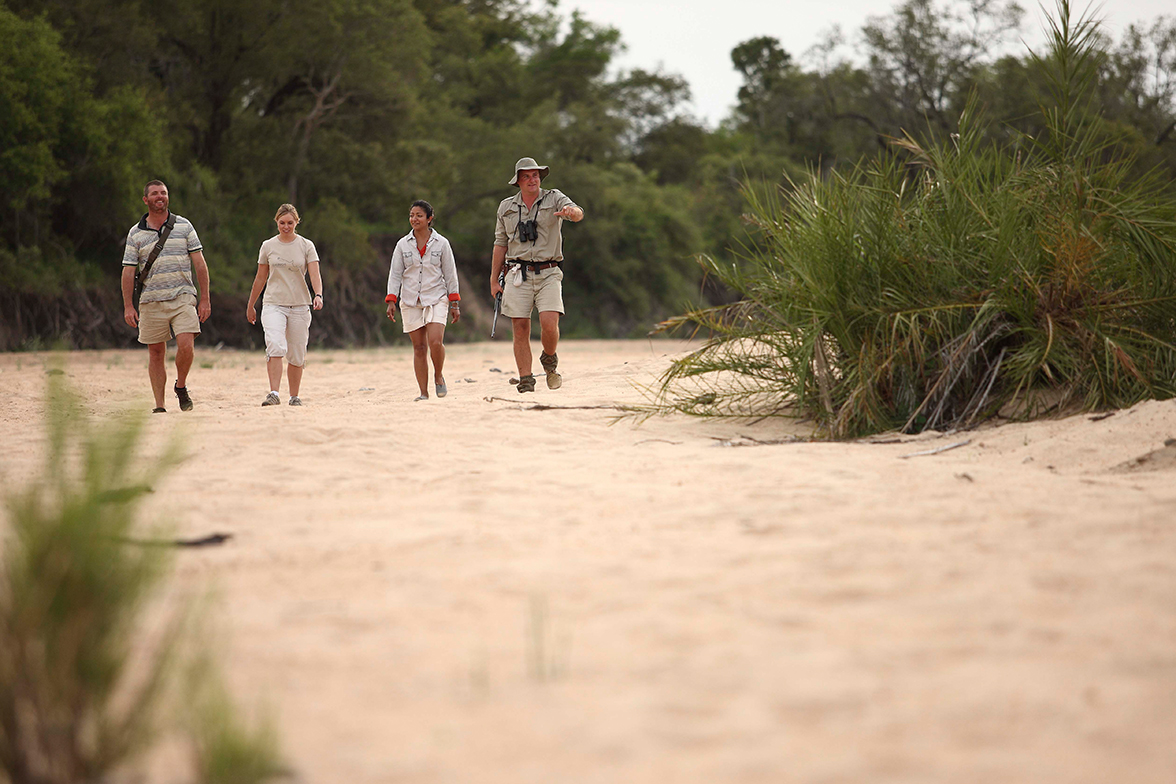 Ngala Tented Camp - Bush Walk