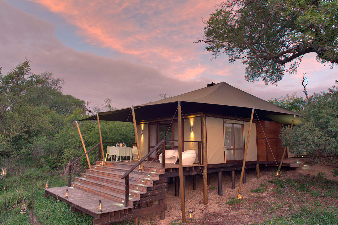 Ngala Tented Camp - Zelt Suite