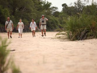 Ngala Tented Camp - Bush Walk Ngala Tented Camp - Bush Walk