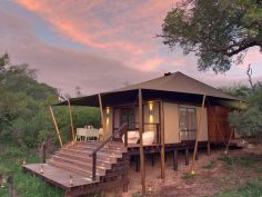 Ngala Tented Camp - Zelt Suite
