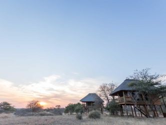 nThambo Tree Camp - Chalets nThambo Tree Camp - Chalets