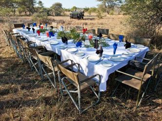 nThambo Tree Camp - Busch-Frühstück nThambo Tree Camp - Busch-Frühstück