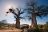 Pafuri Camp - Twin Baobabs Pafuri Camp - Twin Baobabs