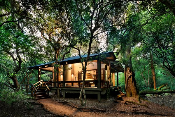 Phinda Forest Lodge