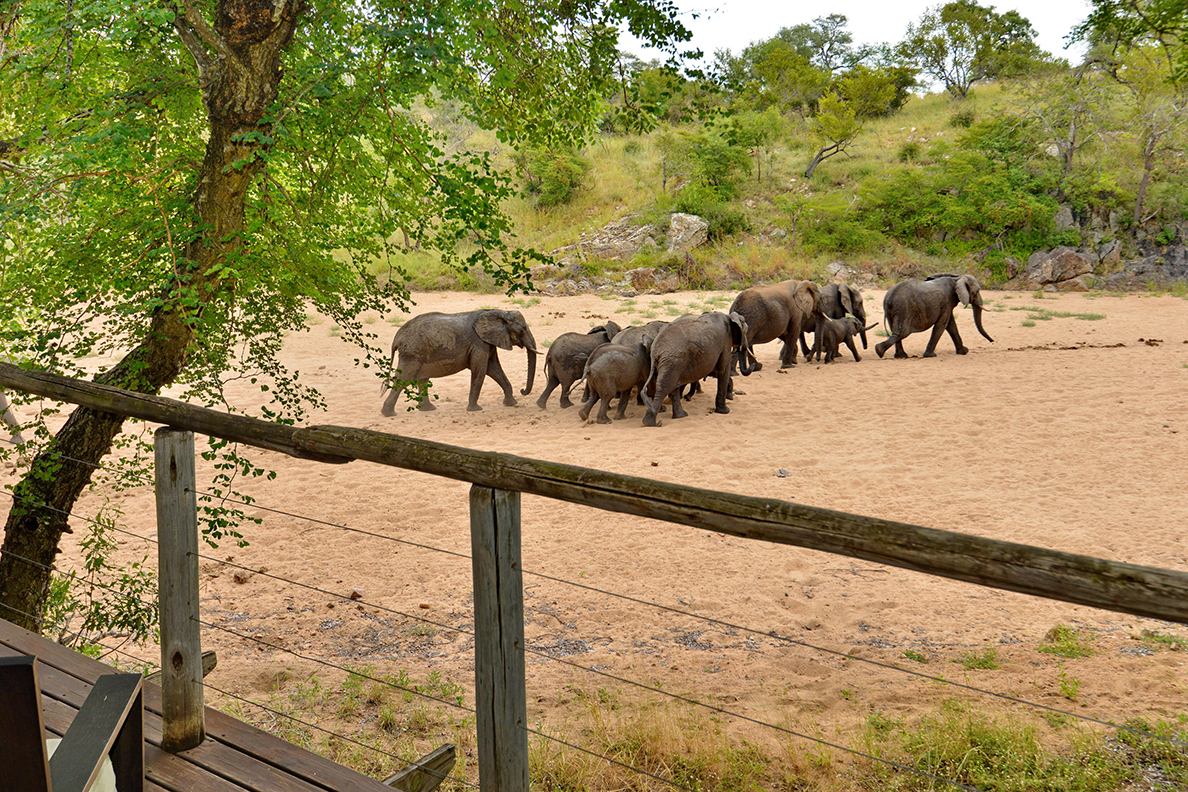 Rhino Post Safari Lodge