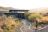 Rhino Ridge Safari Lodge - Safari Zimmer