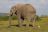 River Bend Country Lodge, Addo Elephant National Park