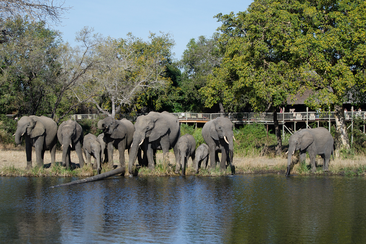 Sabi Sabi Bush Lodge