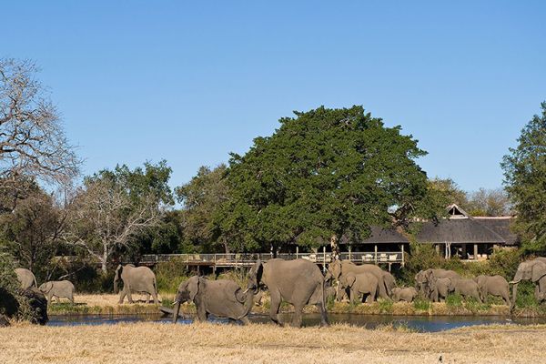 Sabi Sabi Bush Lodge