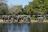 Sabi Sabi Bush Lodge