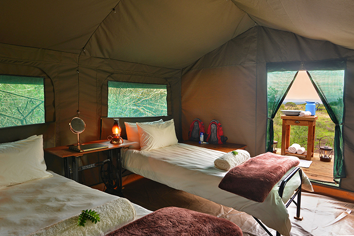 Shamwari Explorer Camp