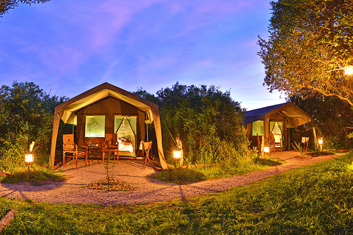 Shamwari Explorer Camp