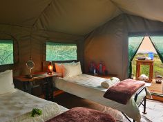 Shamwari Explorer Camp