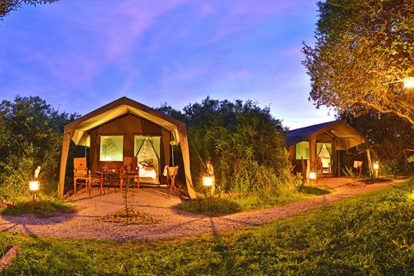 Shamwari Explorer Camp