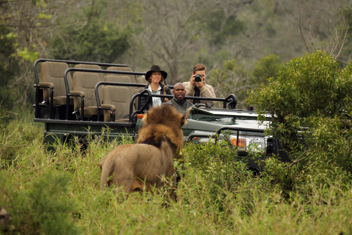 Thanda Private Game Reserve - Game Drive