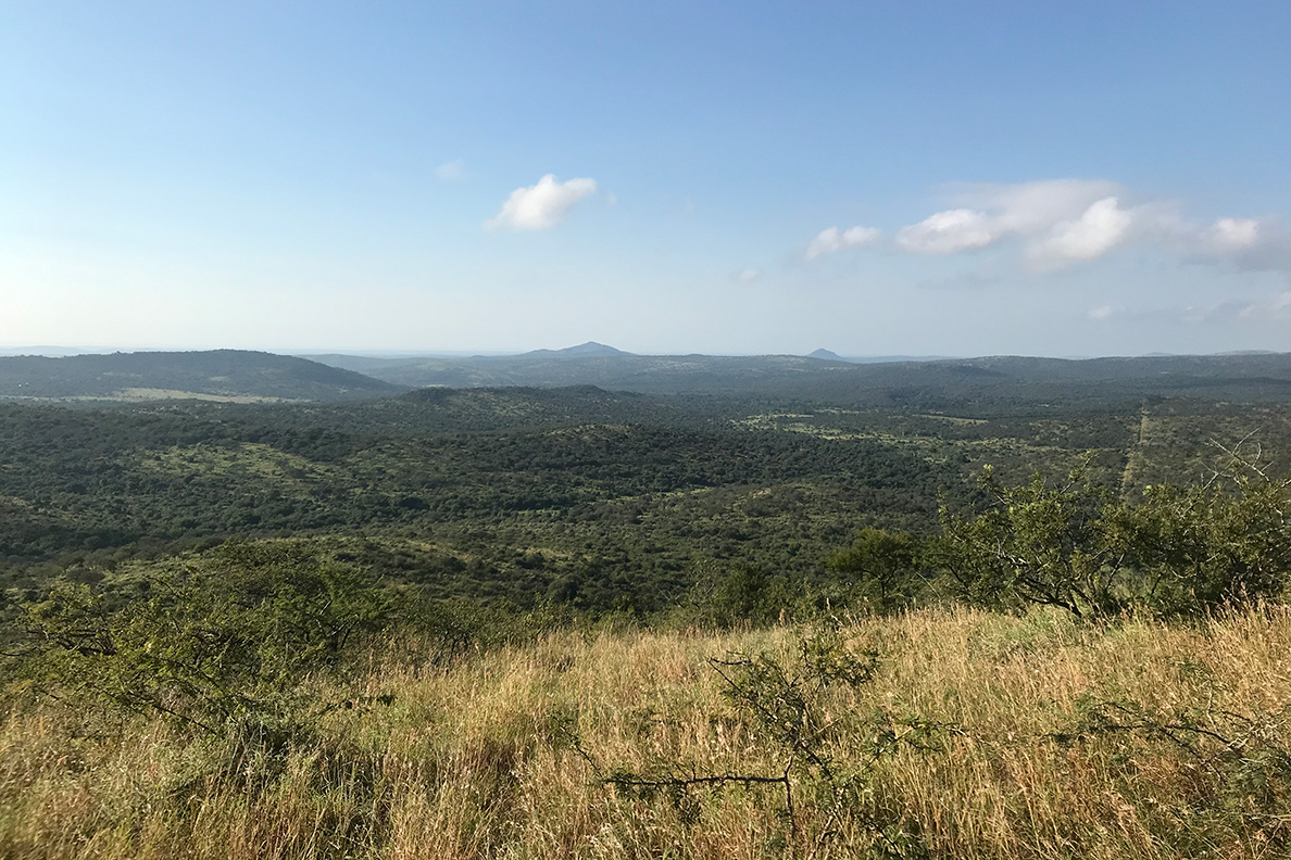 Thanda Private Game Reserve