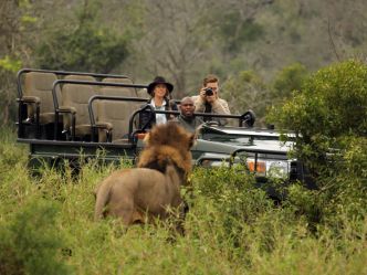 Thanda Private Game Reserve - Game Drive Thanda Private Game Reserve - Game Drive