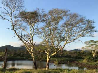 Thanda Private Game Reserve Thanda Private Game Reserve