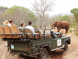 Thanda Private Game Reserve - Game Drive Thanda Private Game Reserve - Game Drive
