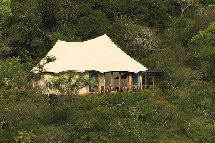 Thanda Tented Camp, Zelt Zimmer