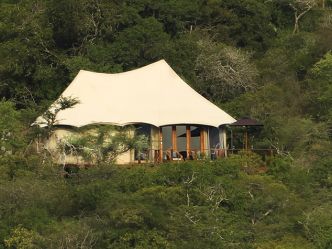 Thanda Tented Camp, Zelt Zimmer Thanda Tented Camp, Zelt Zimmer
