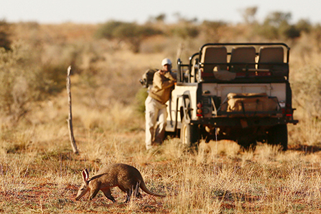 Tswalu Private Game Reserve