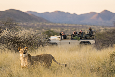 Tswalu Private Game Reserve