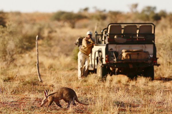 Tswalu