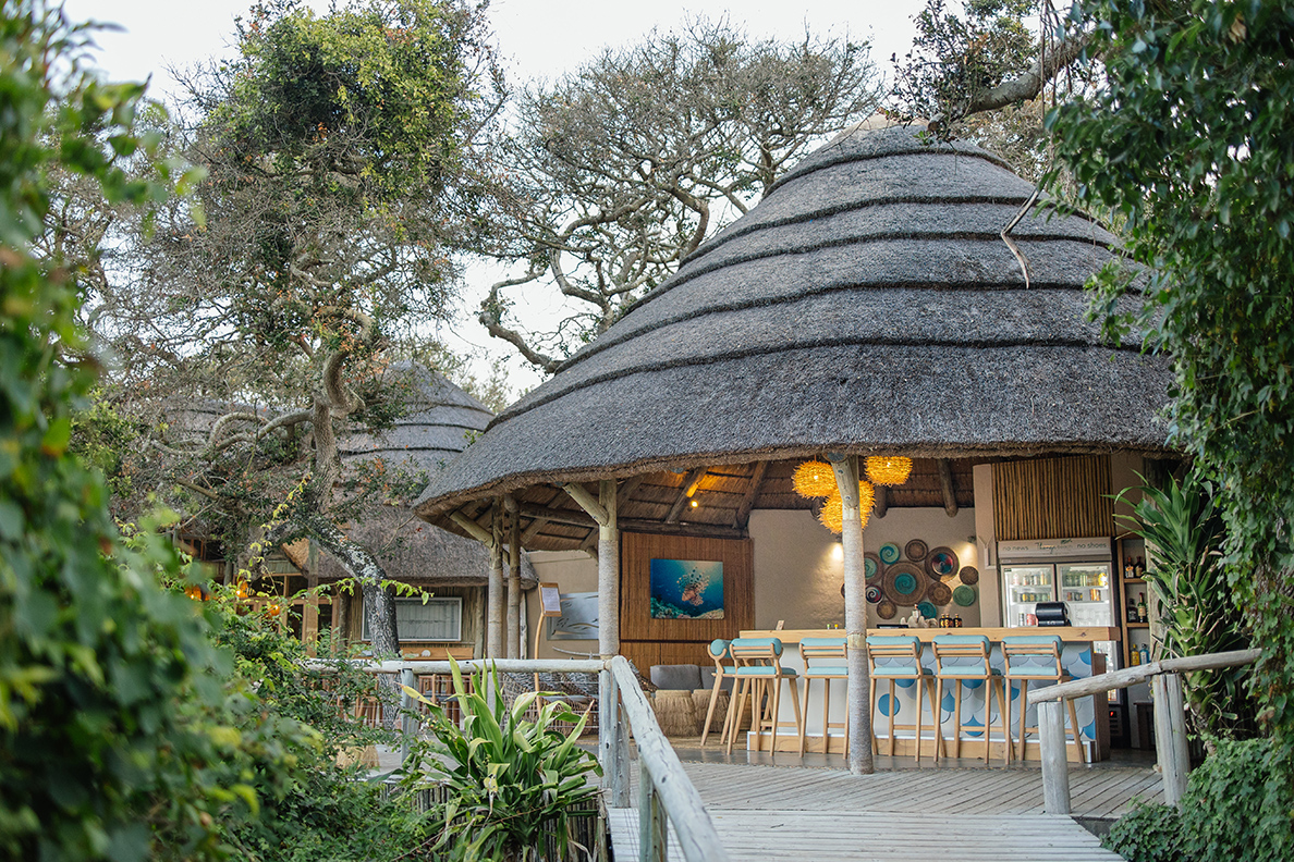 Thonga Beach Lodge