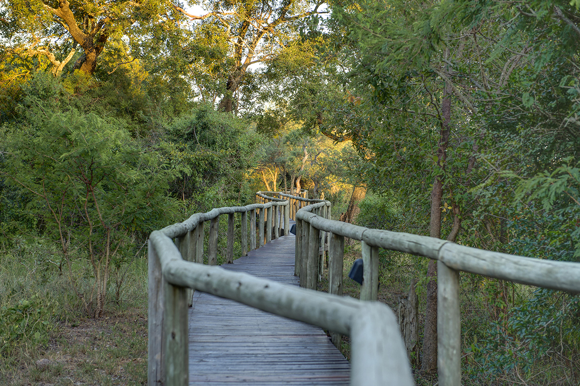 Tintswalo Safari Lodge