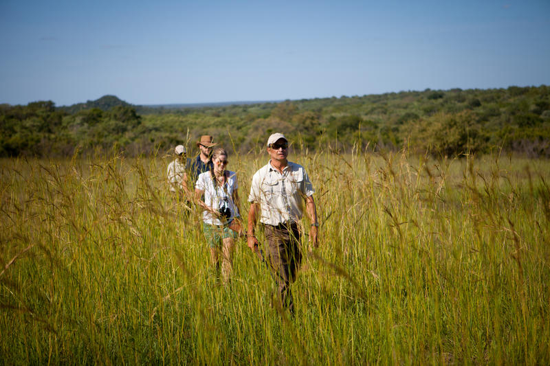 Ulusaba Rock Lodge - walk