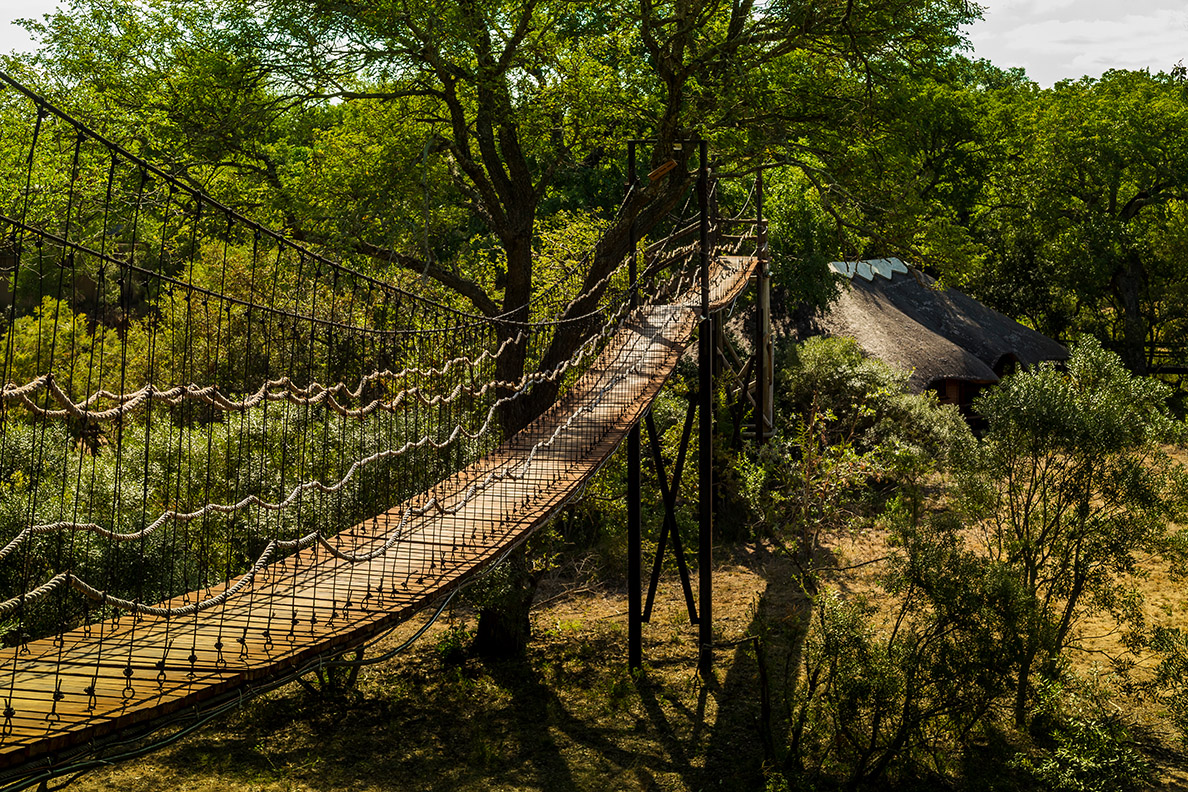 Ulusaba Safari Lodge - Hängebrücke