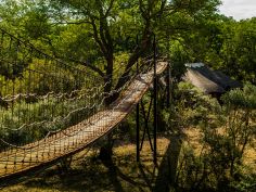 Ulusaba Safari Lodge - Hängebrücke