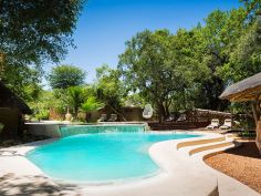 Ulusaba Safari Lodge - pool