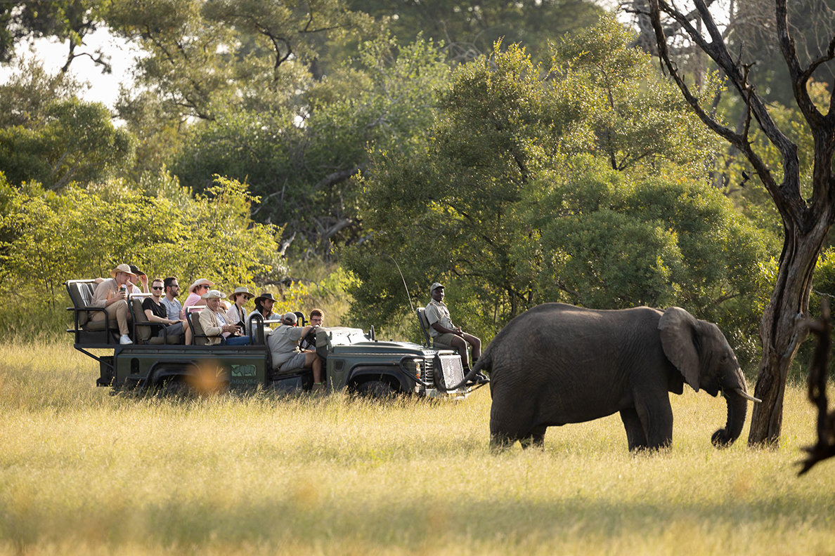 Umkumbe Safari Lodge - Pirschfahrten