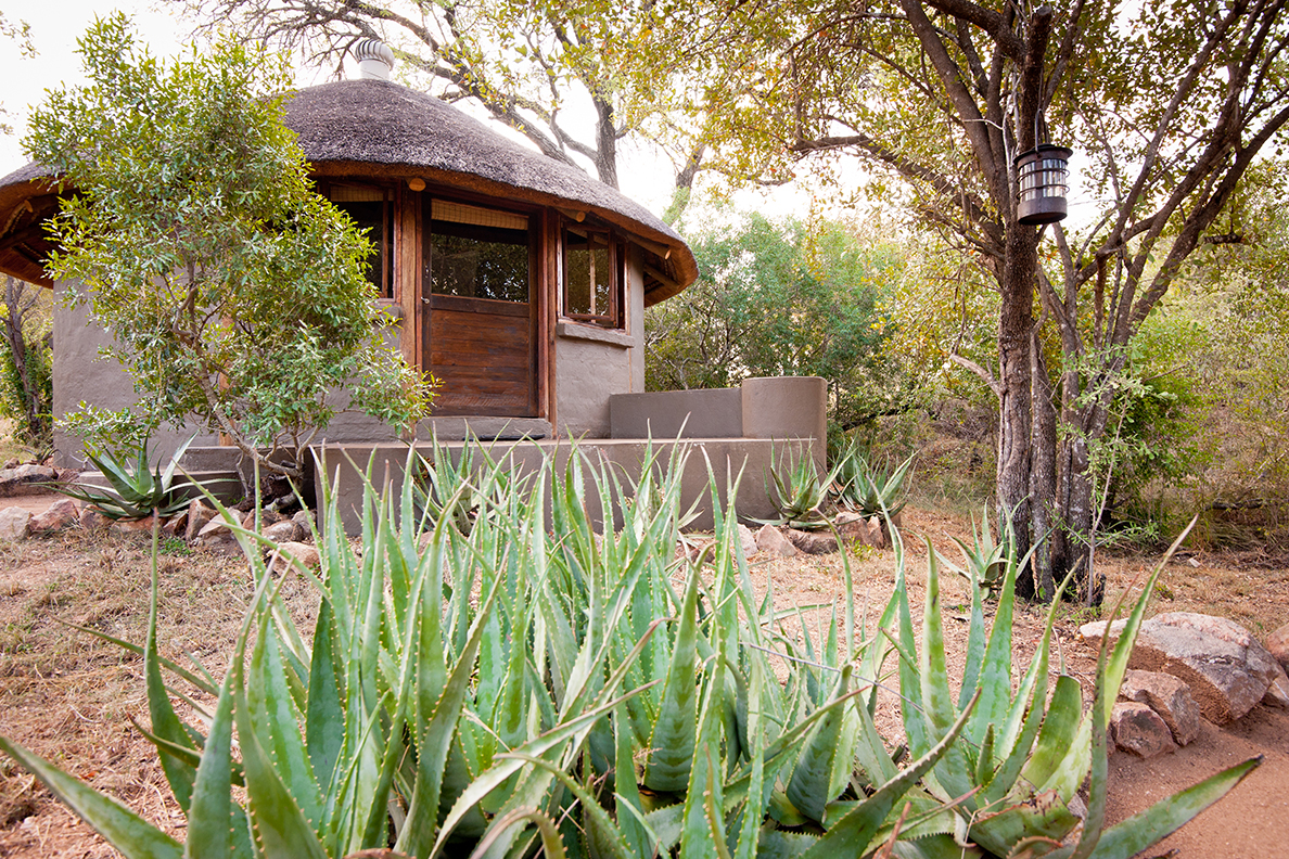Umlani Bushcamp - Eco Rondavel