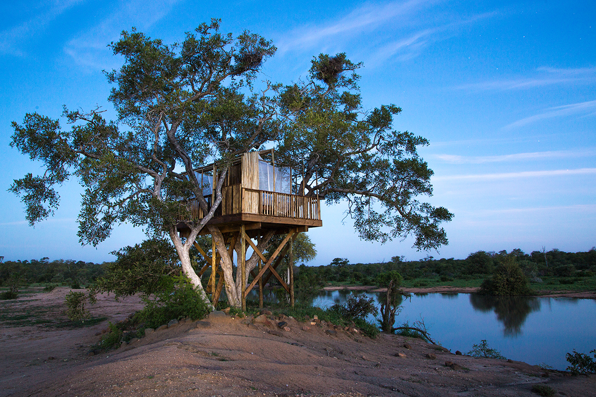 Umlani Bushcamp - Baumhaus