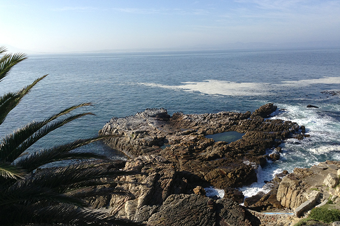 Hermanus