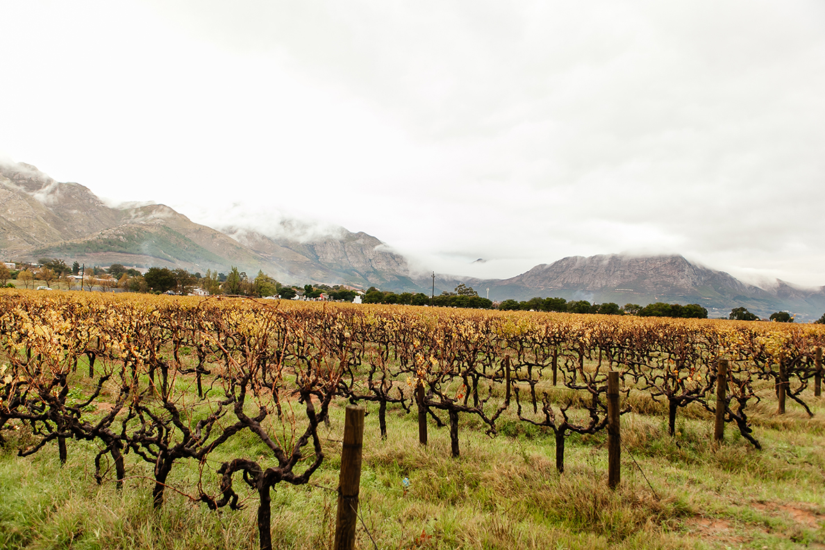 Basse Provence, Franschhoek