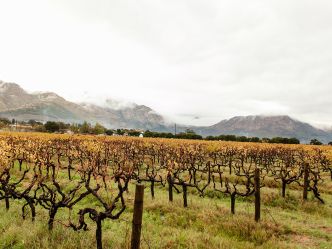 Basse Provence, Franschhoek Basse Provence, Franschhoek