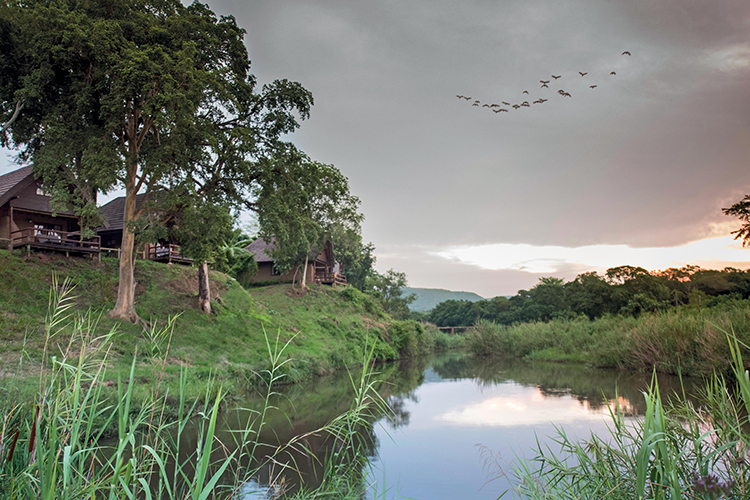 Hippo Hollow Country Estate - River Chalets
